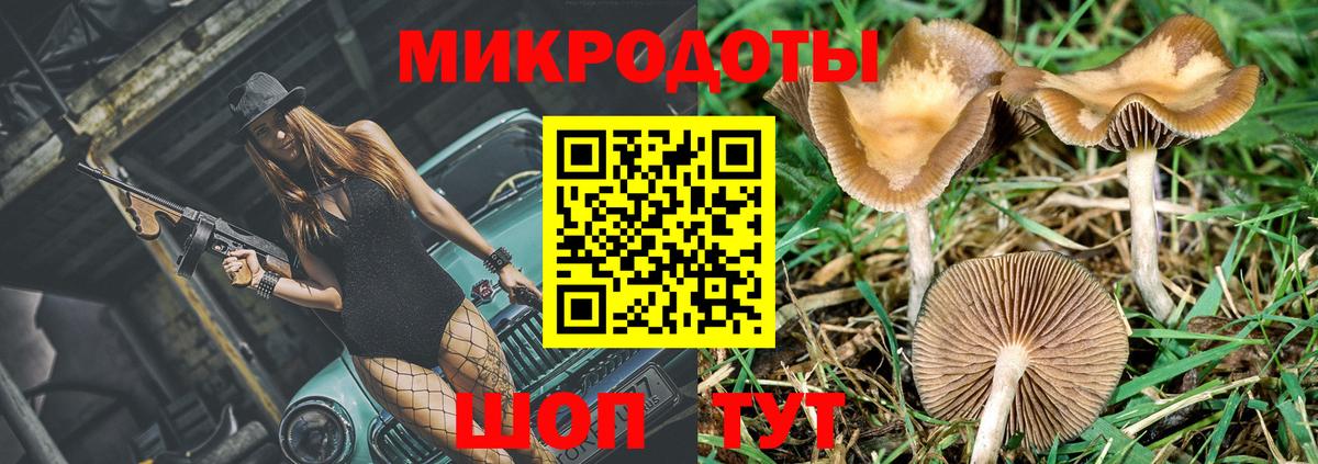 Сорочинск  Псилоцибиновые грибы Psilocybine cubensis  Вход с VPN 